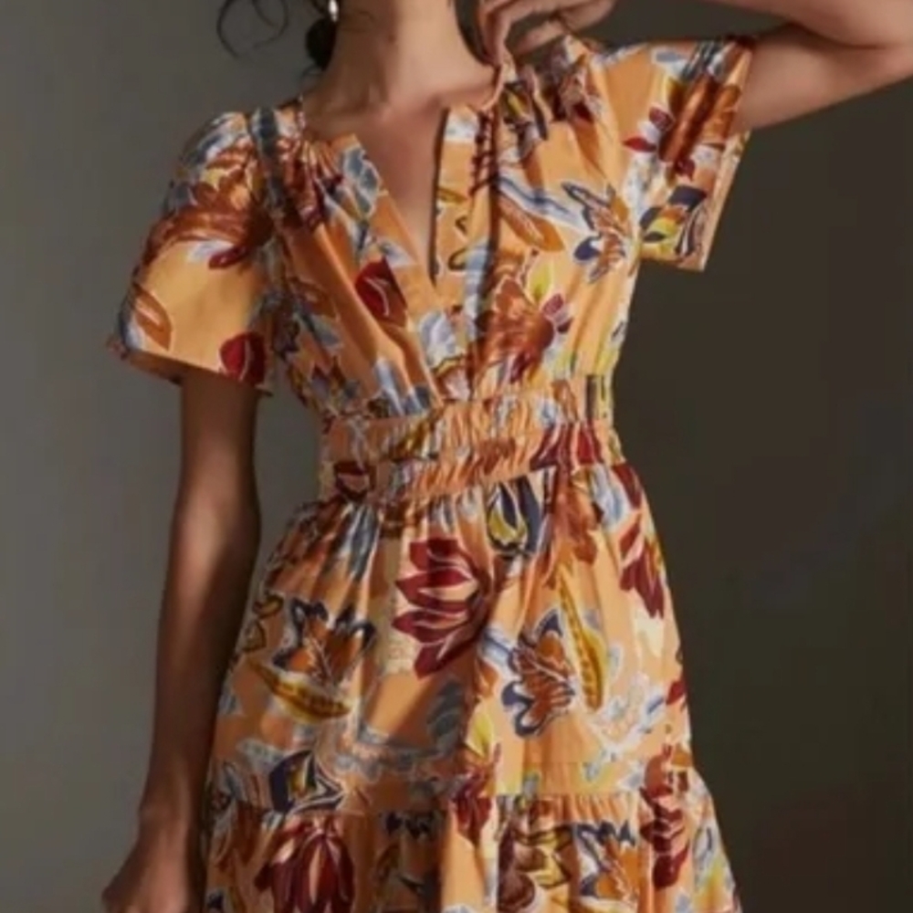Mini Somerset Dress Anthropologie